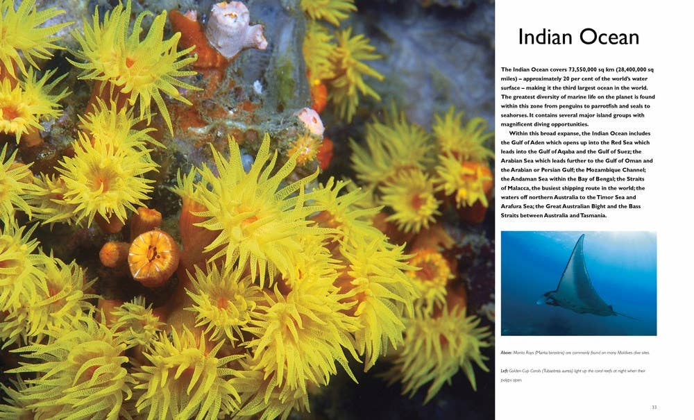 Independent Publishers Group - World's Best Tropical Dive Destinations