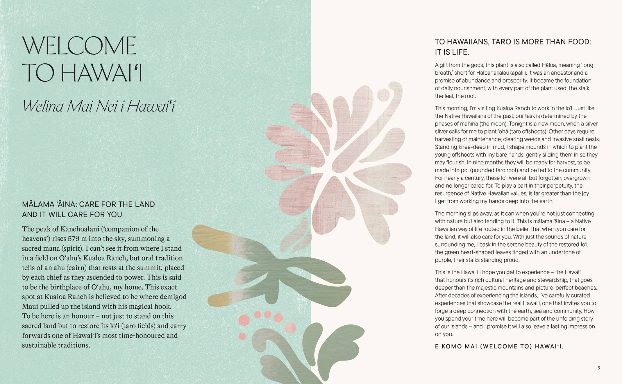 Chronicle Books - The Conscious Traveller Hawai'i