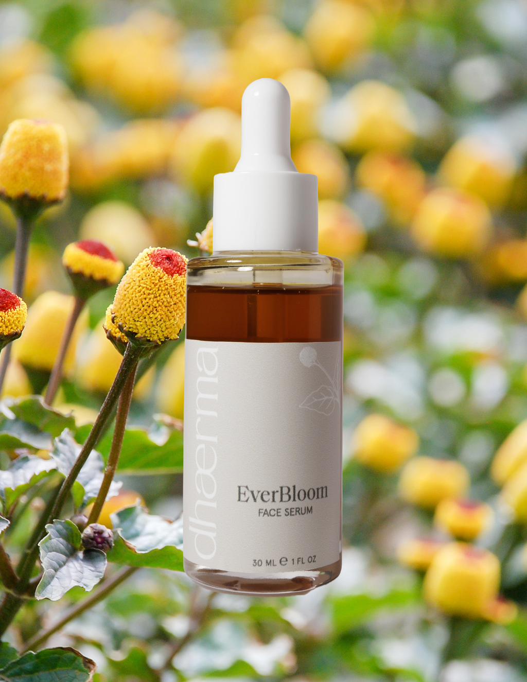 Dhaerma Skin - EverBloom | Face Oil