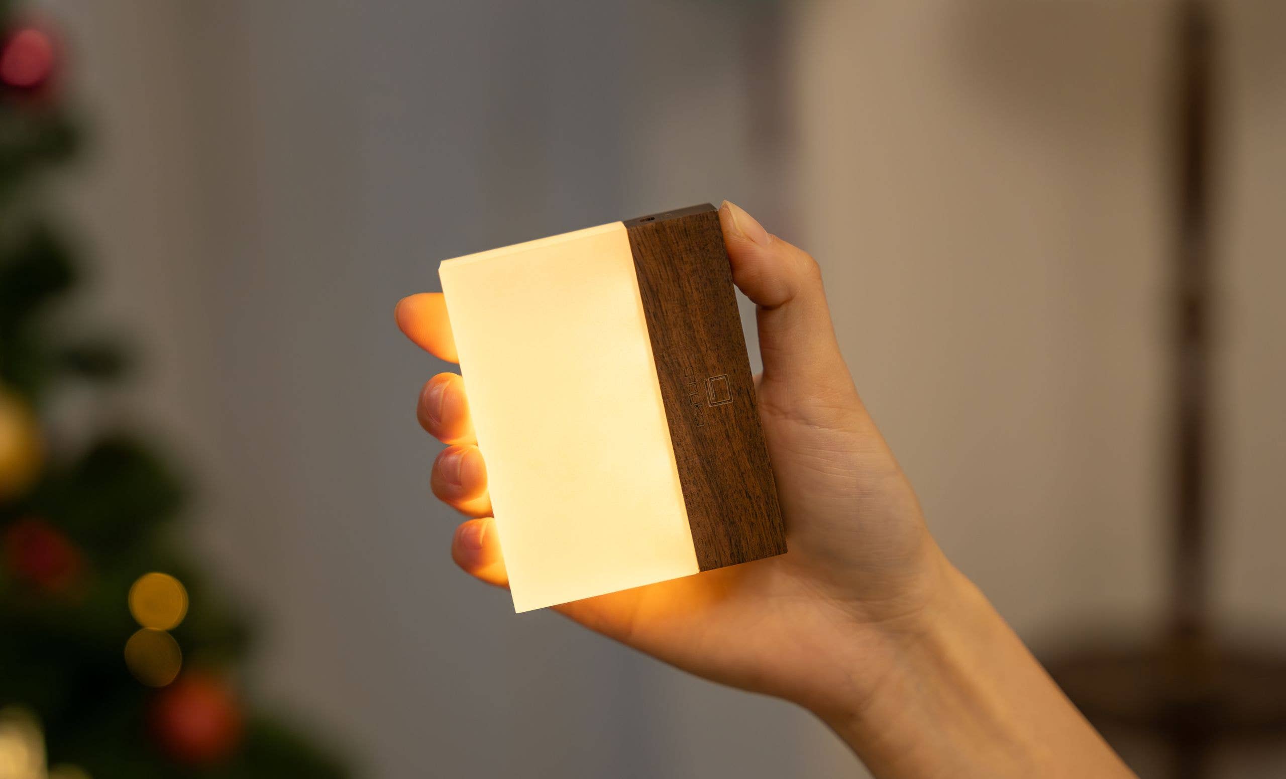 Gingko Design - CuraCheese Light