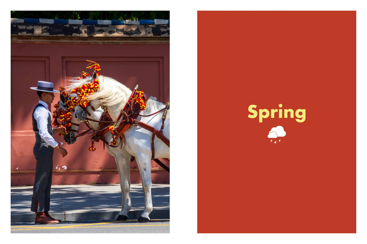 Rough Guides City Stories: Seville Seasons