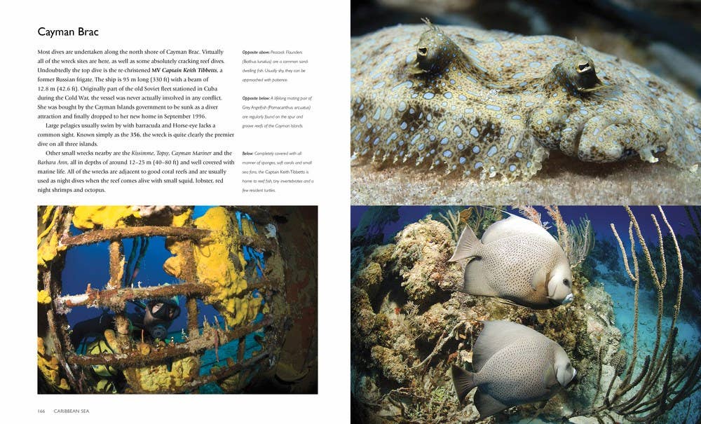 Independent Publishers Group - World's Best Tropical Dive Destinations