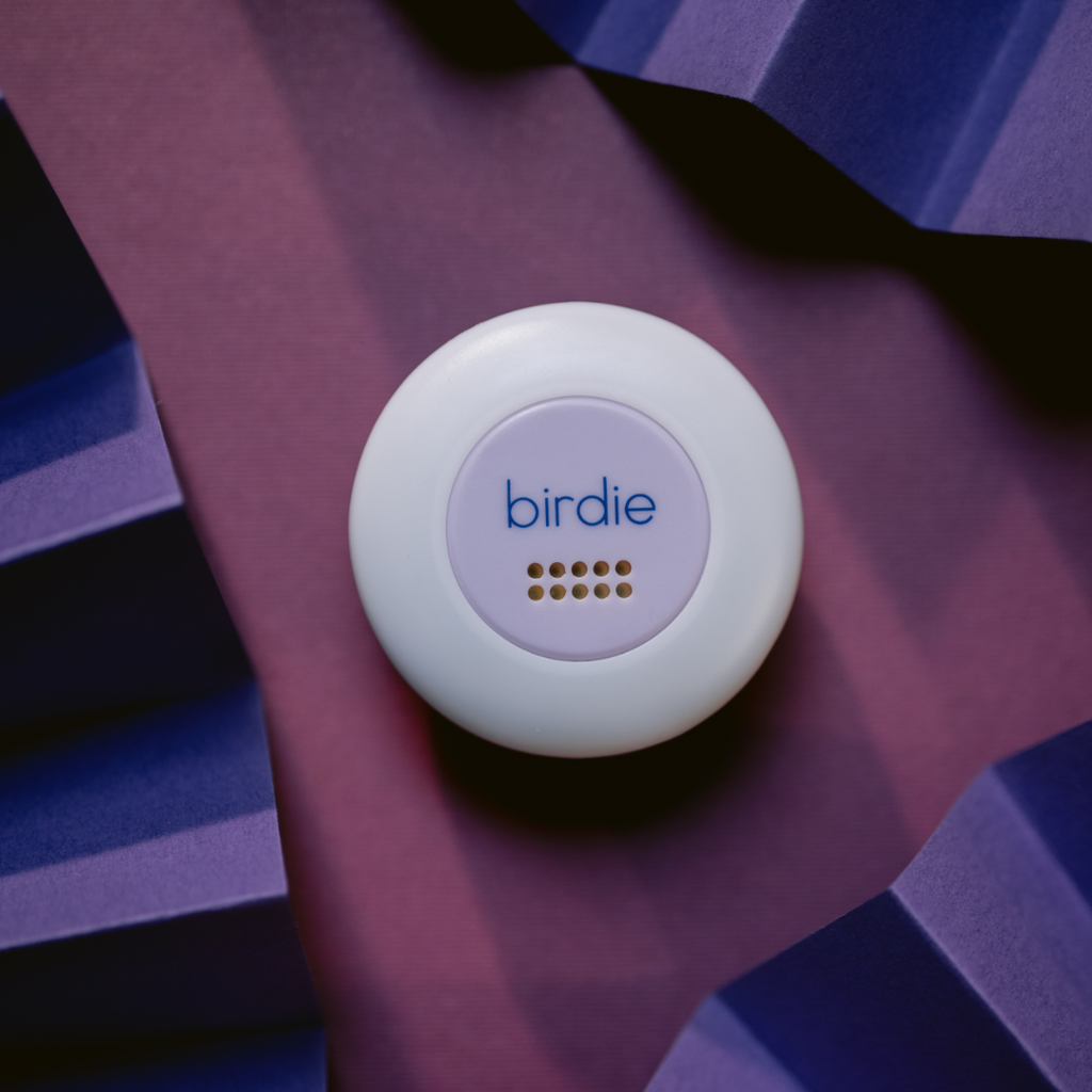 Birdie Disc