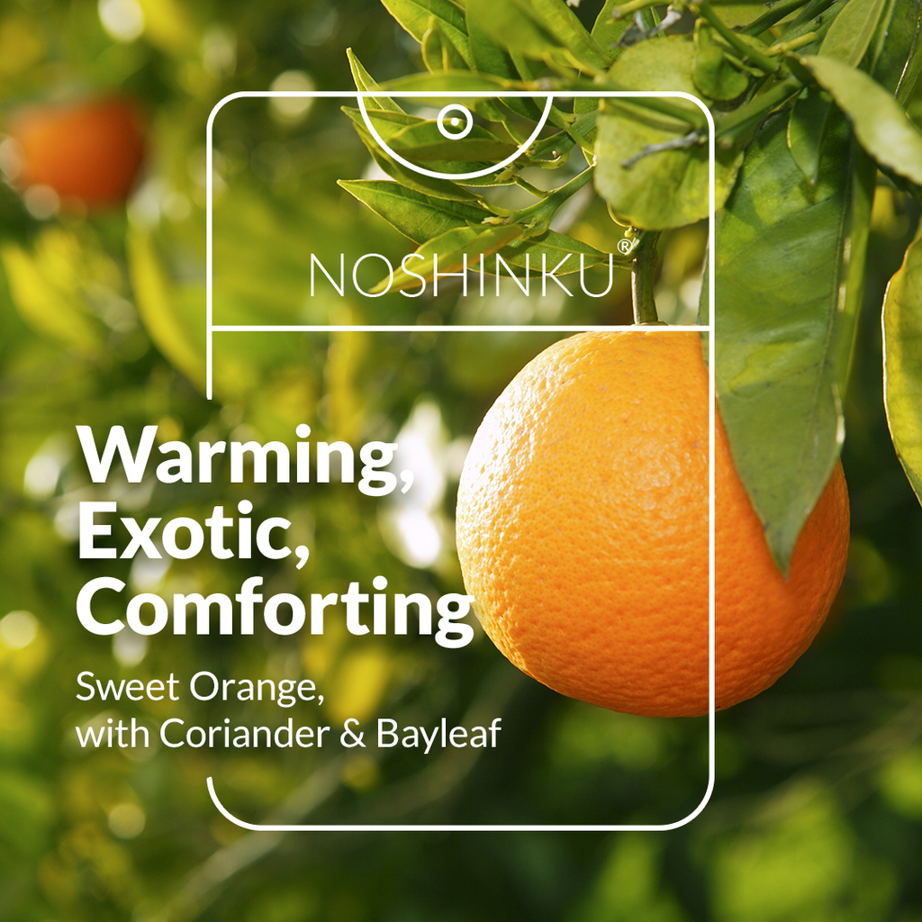 Noshinku - Orange - Coriander Moisturizing Sanitizer Mini Refill Pouch