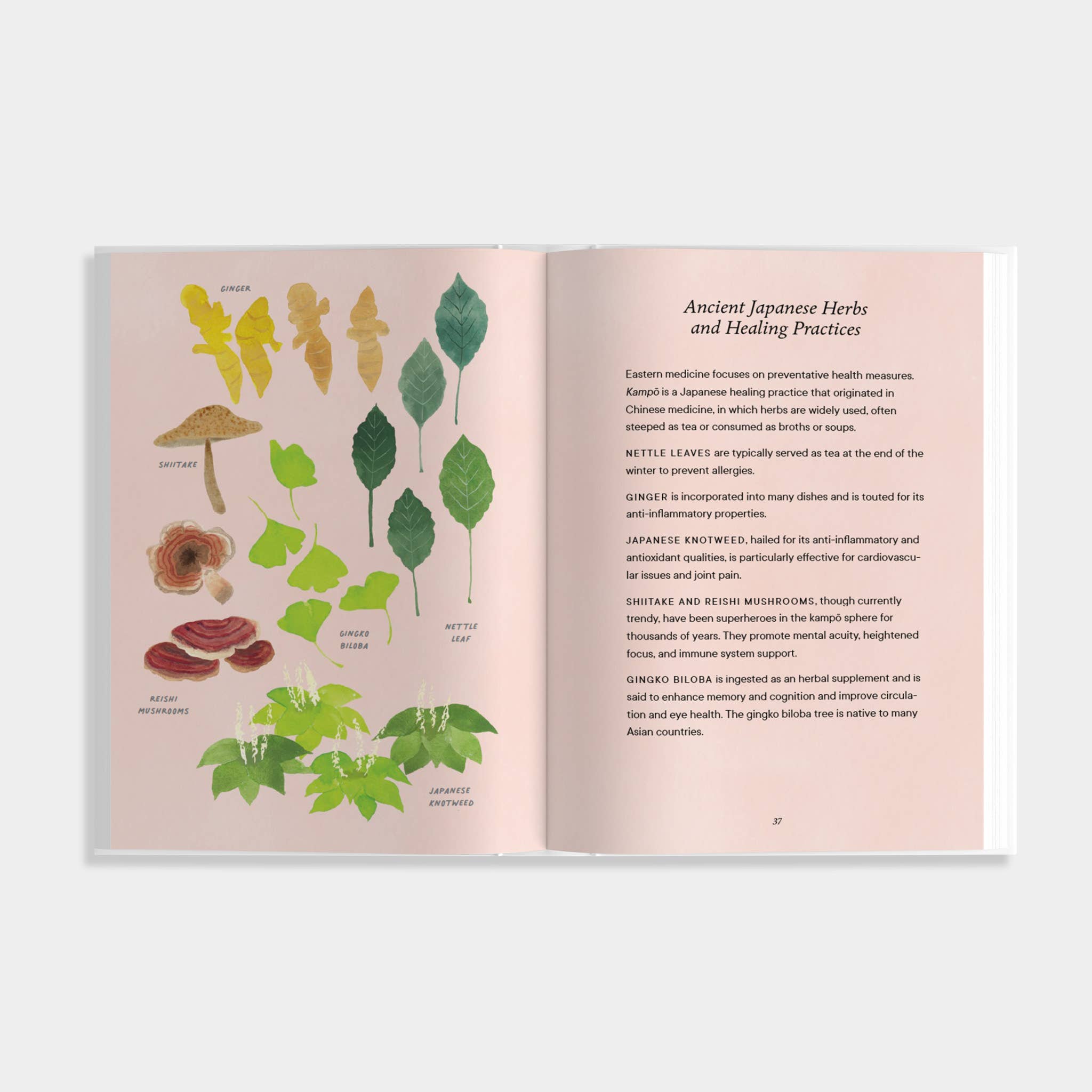Blue Star Press - Shibui: Embracing the Beauty of Aging