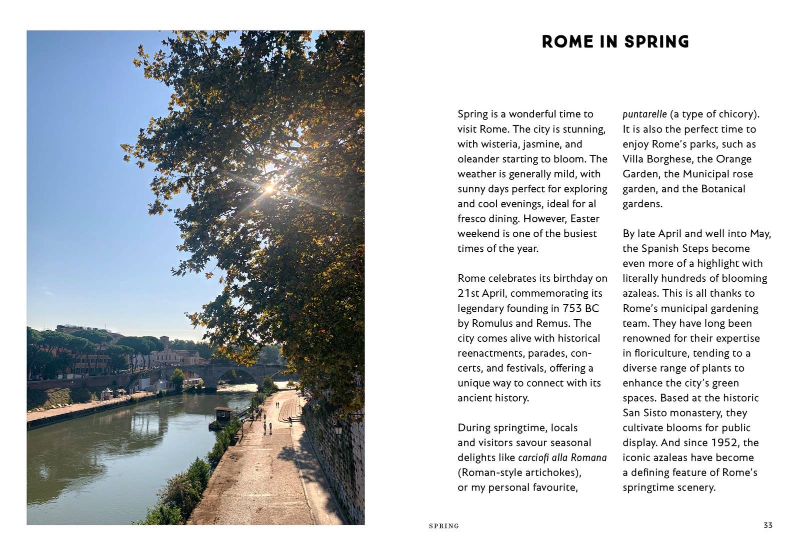 Independent Publishers Group - Why Should I Go To Rome