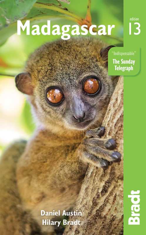 Simon & Schuster - Madagascar by Daniel Austin Daniel Austin