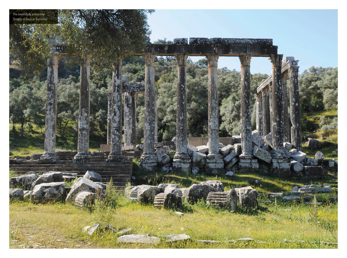 Ingram Publisher Services - Insight Guides Turkiye: Travel Guide with eBook