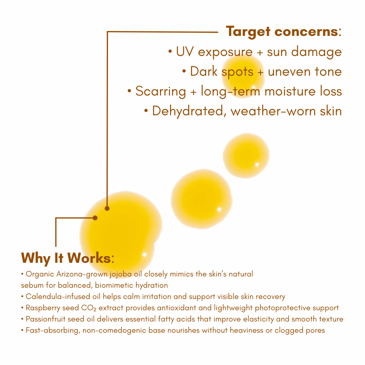 Urb Apothecary - Sun Worshiper Regenerative Serum – Restore & Protect Barrier