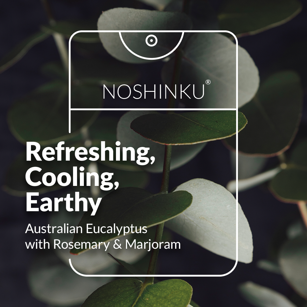 Noshinku - Refillable Eucalyptus Moisturizing Pocket Hand Sanitizer