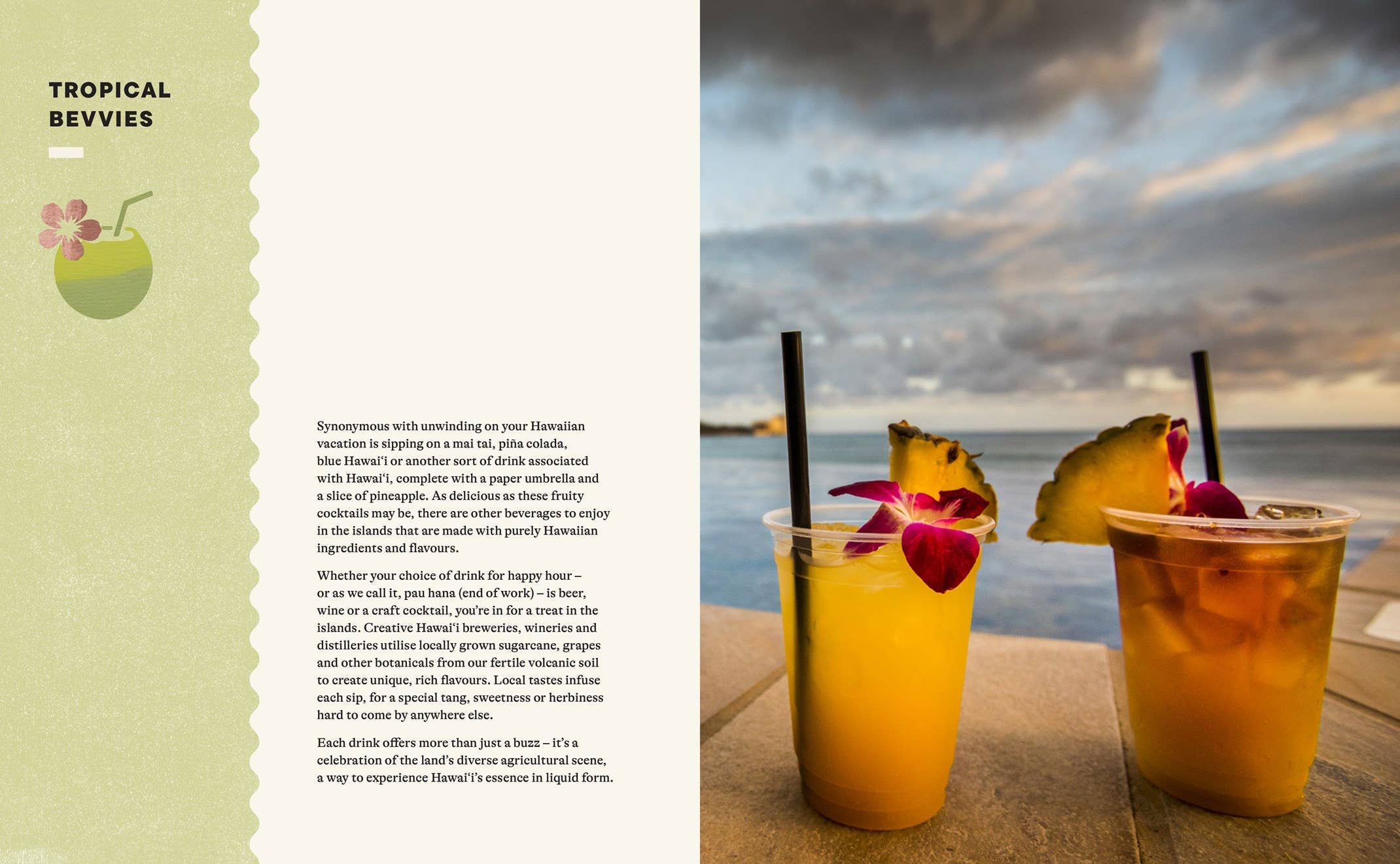 Chronicle Books - The Conscious Traveller Hawai'i