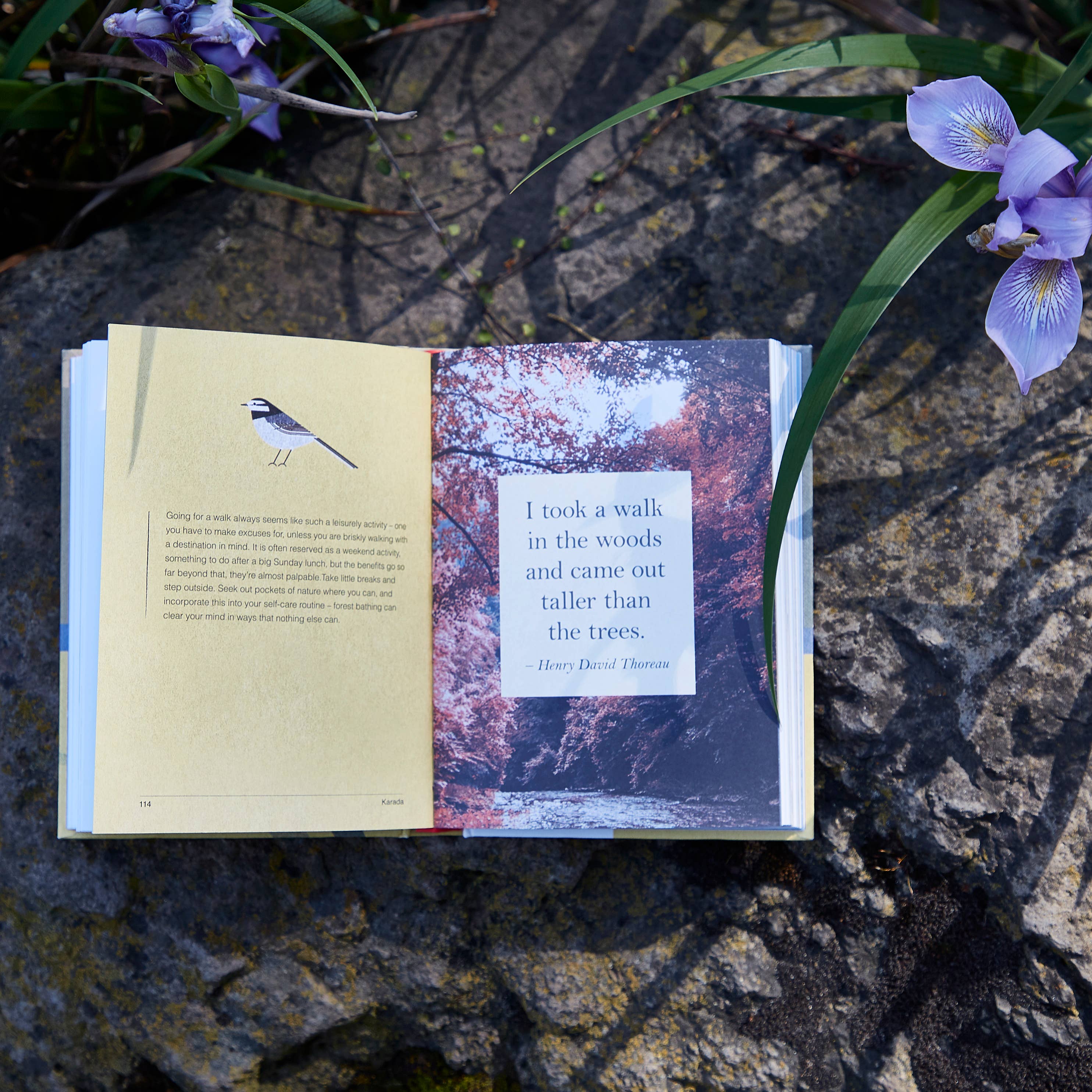 Chronicle Books - A Little Book of Japanese Contentments