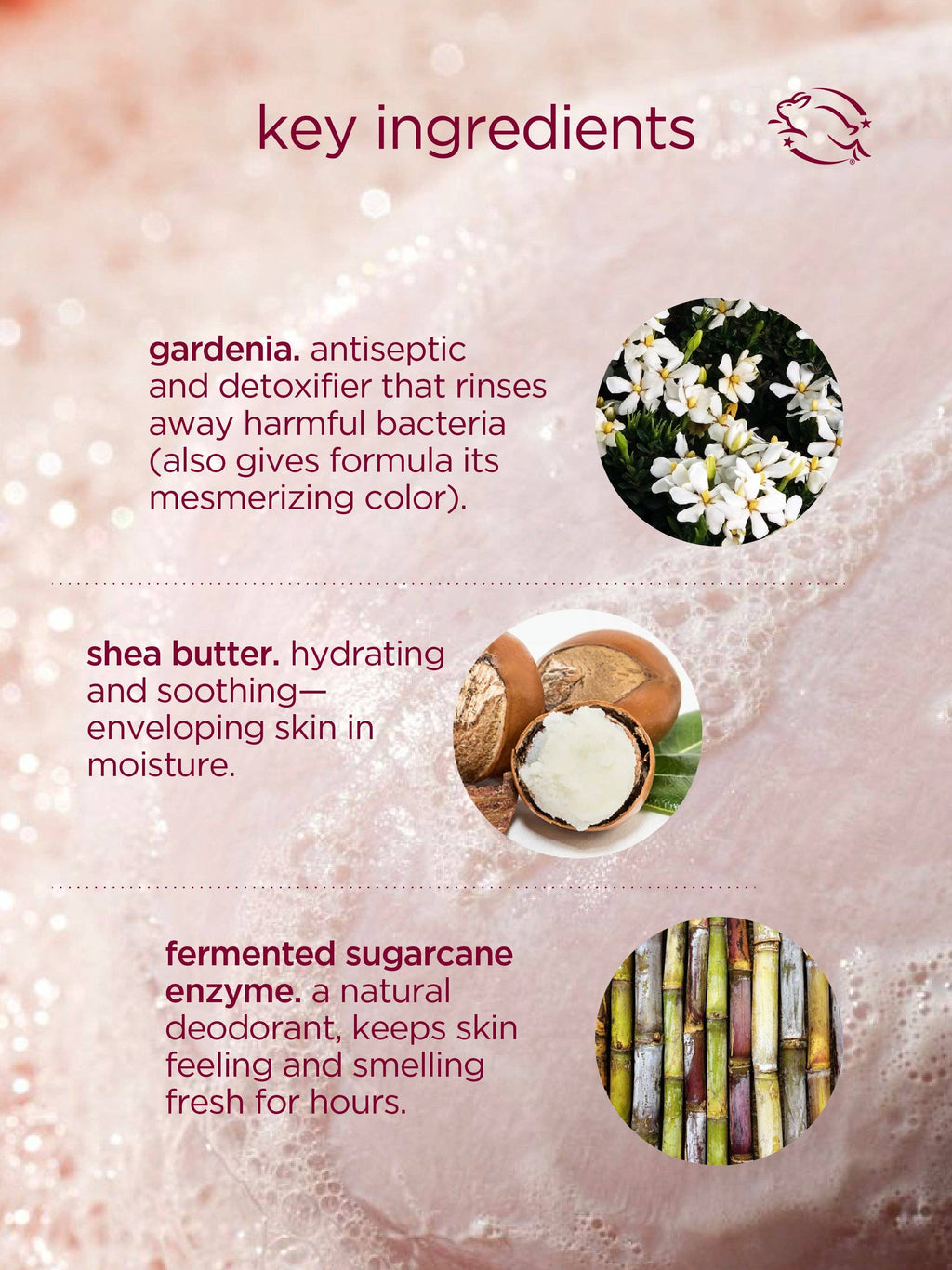 Hanni - Cocoon cleanse - solid serum cleanser