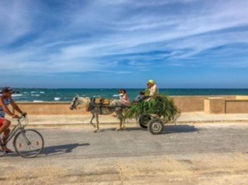 W. W. Norton - Cuba by Bike: 36 Rides Across the Caribbean's Largest Island
