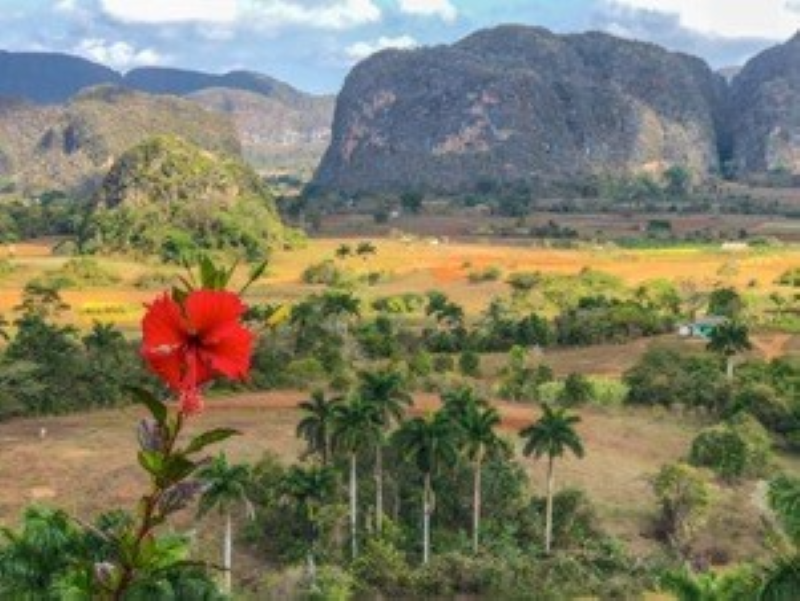 W. W. Norton - Cuba by Bike: 36 Rides Across the Caribbean's Largest Island