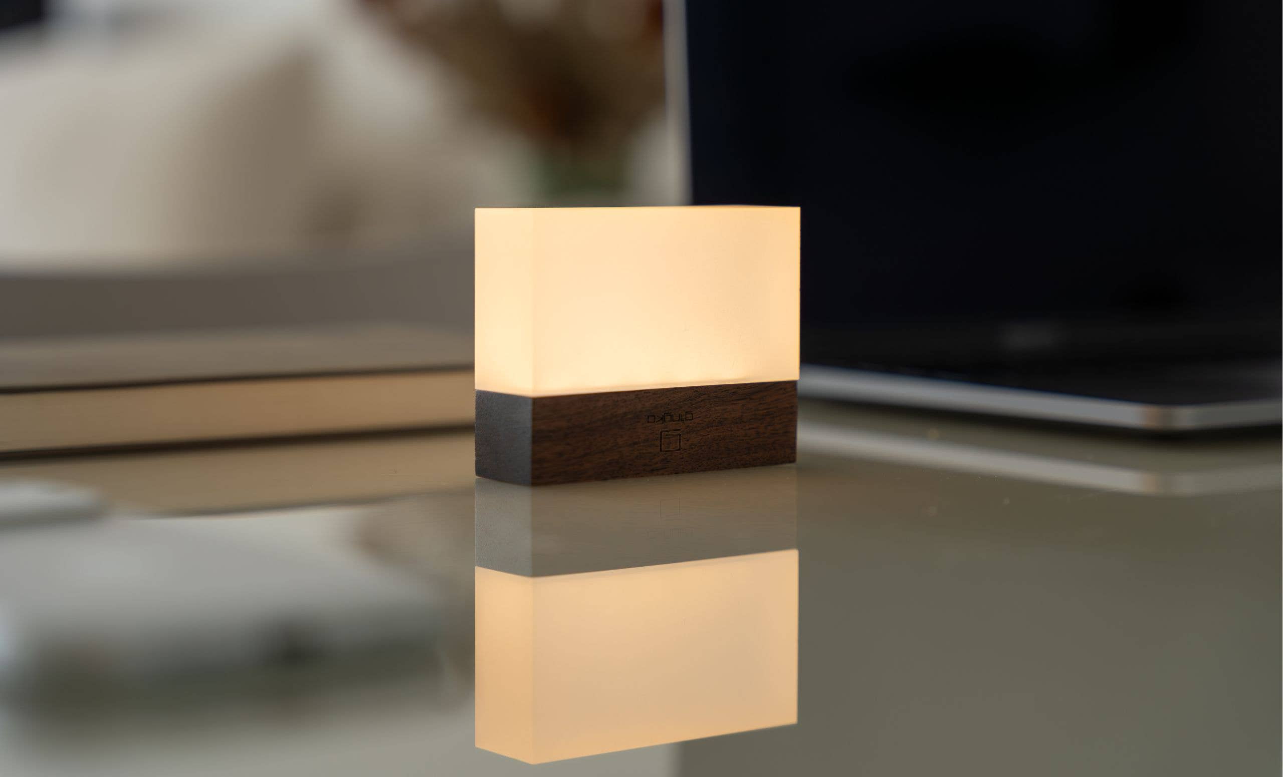 Gingko Design - CuraCheese Light