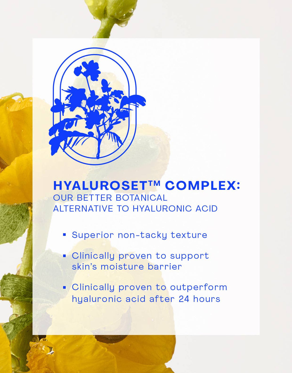 The Outset - Nourishing Squalane Daily Moisturizer