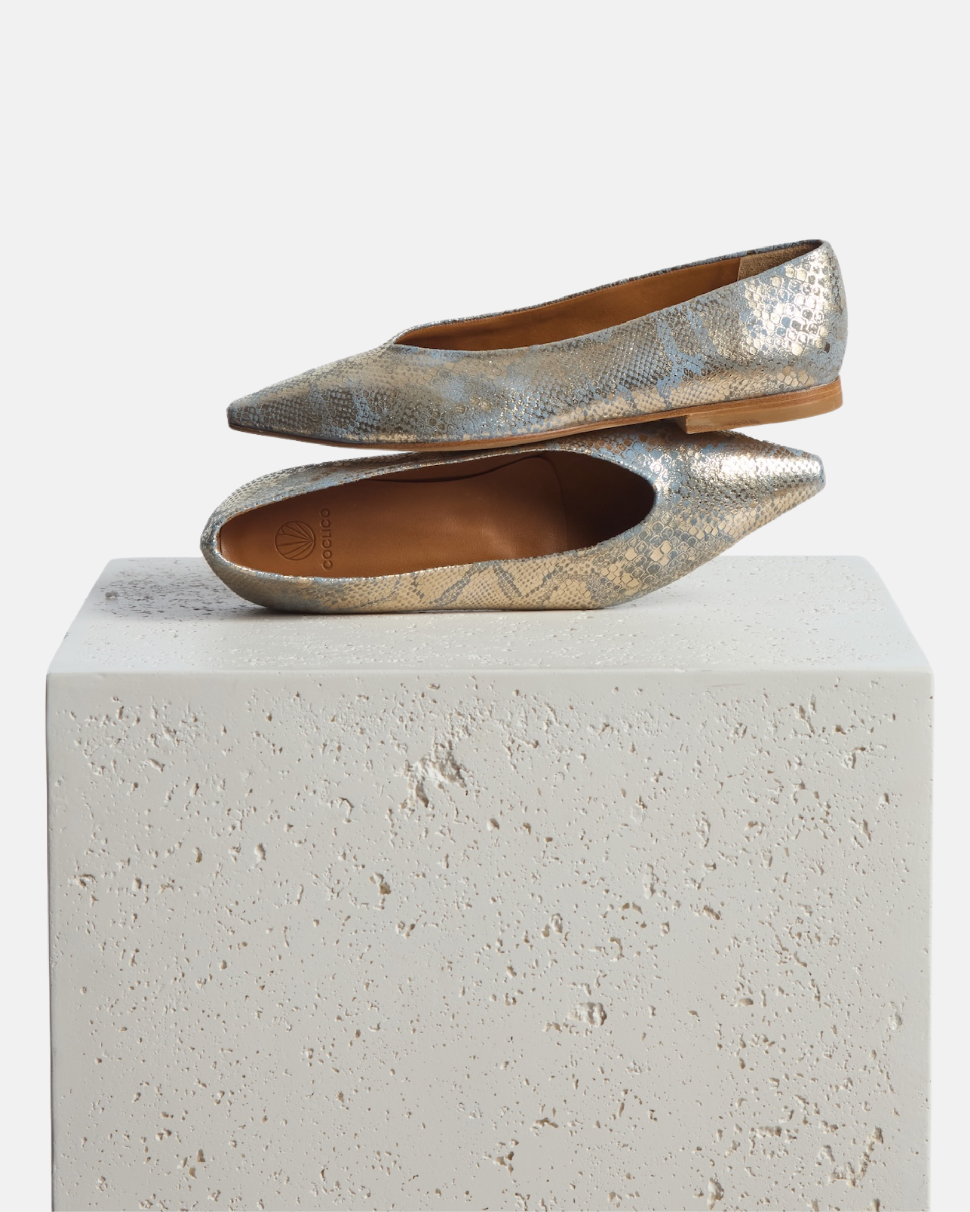Coclico - Cabnal in Opal Python