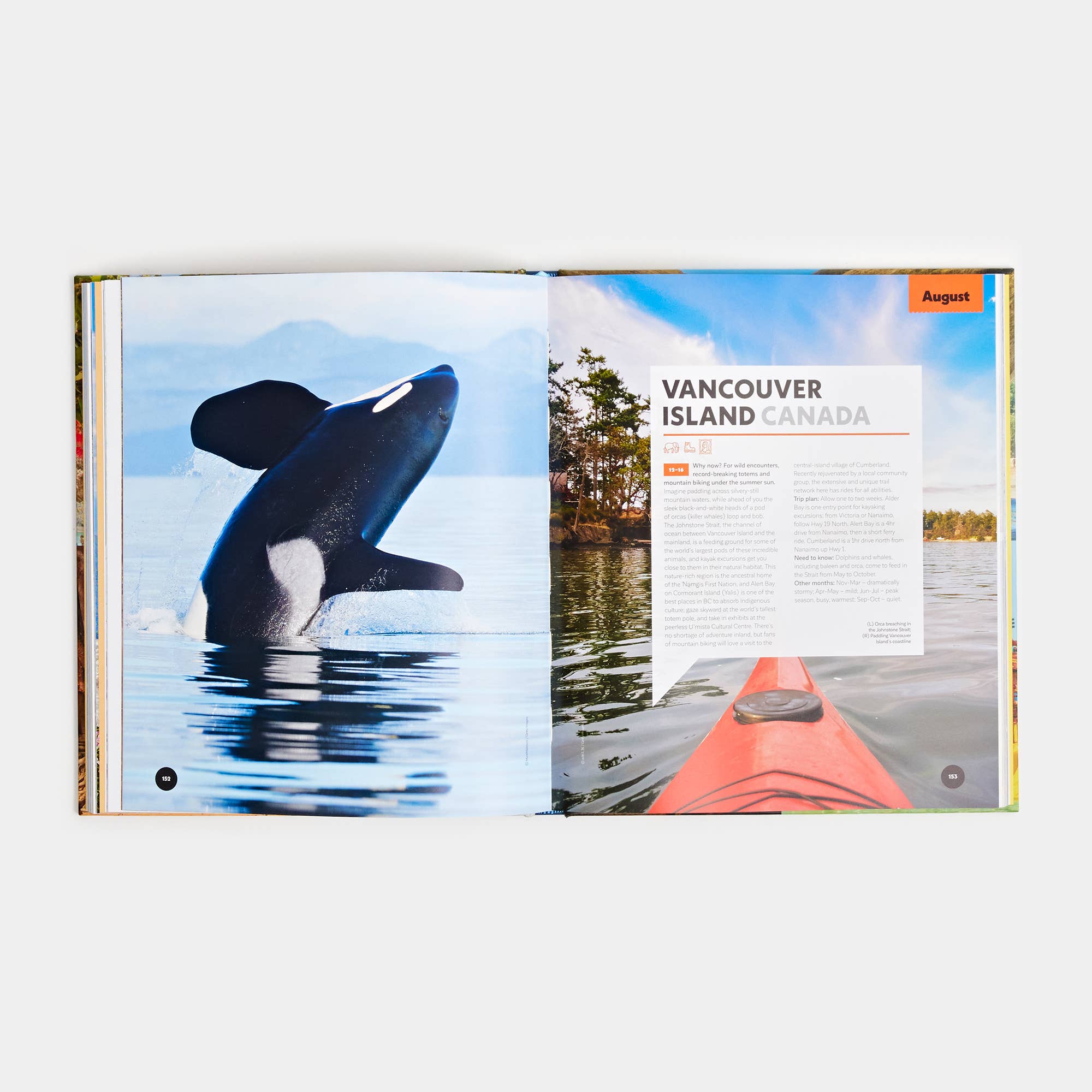Lonely Planet Where to Go When With Kids