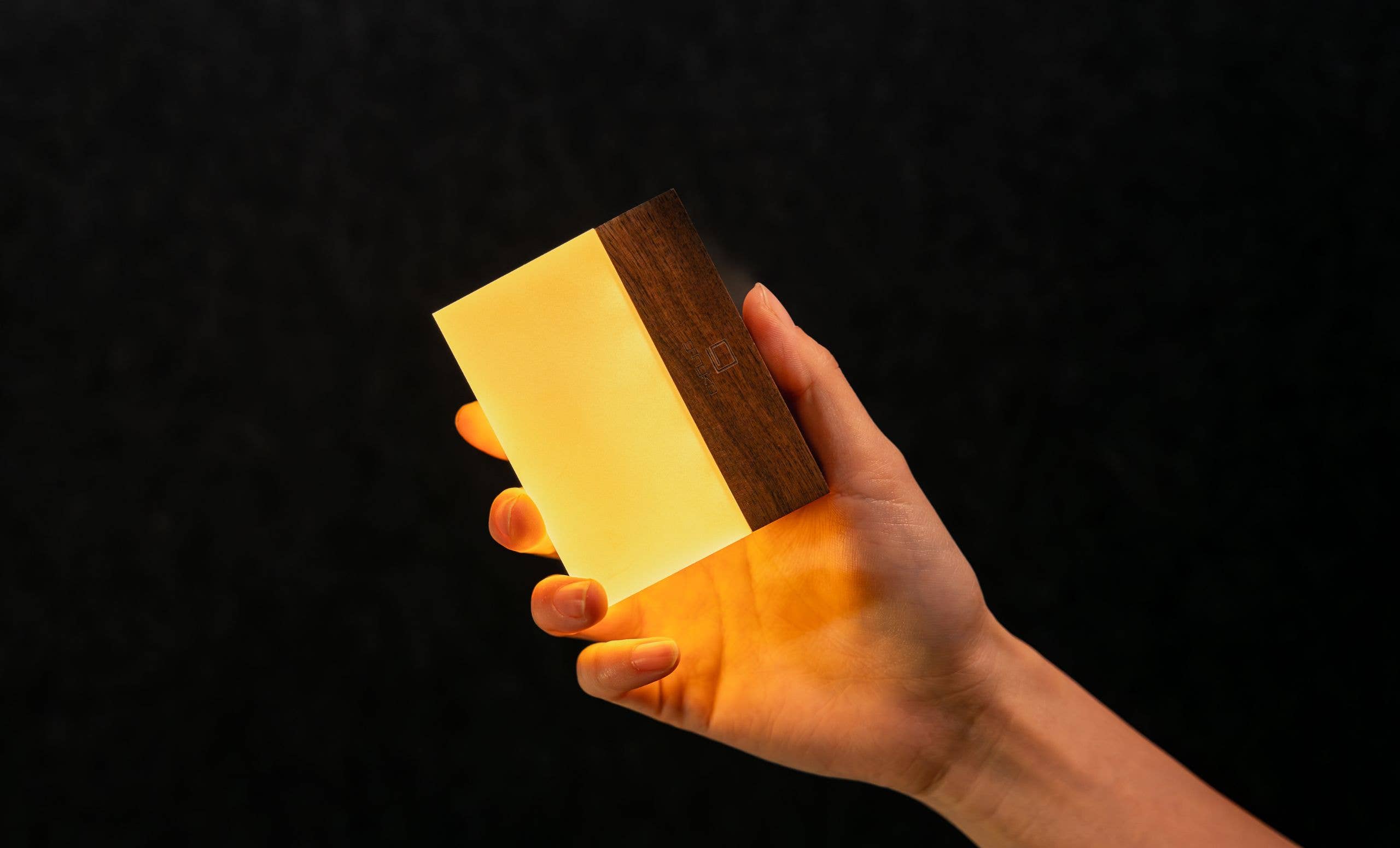 Gingko Design - CuraCheese Light