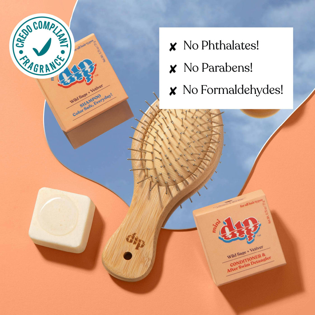 Dip - Mini Dip Shampoo Bar: Color Safe, Everyday - Wild Sage & Vetiver