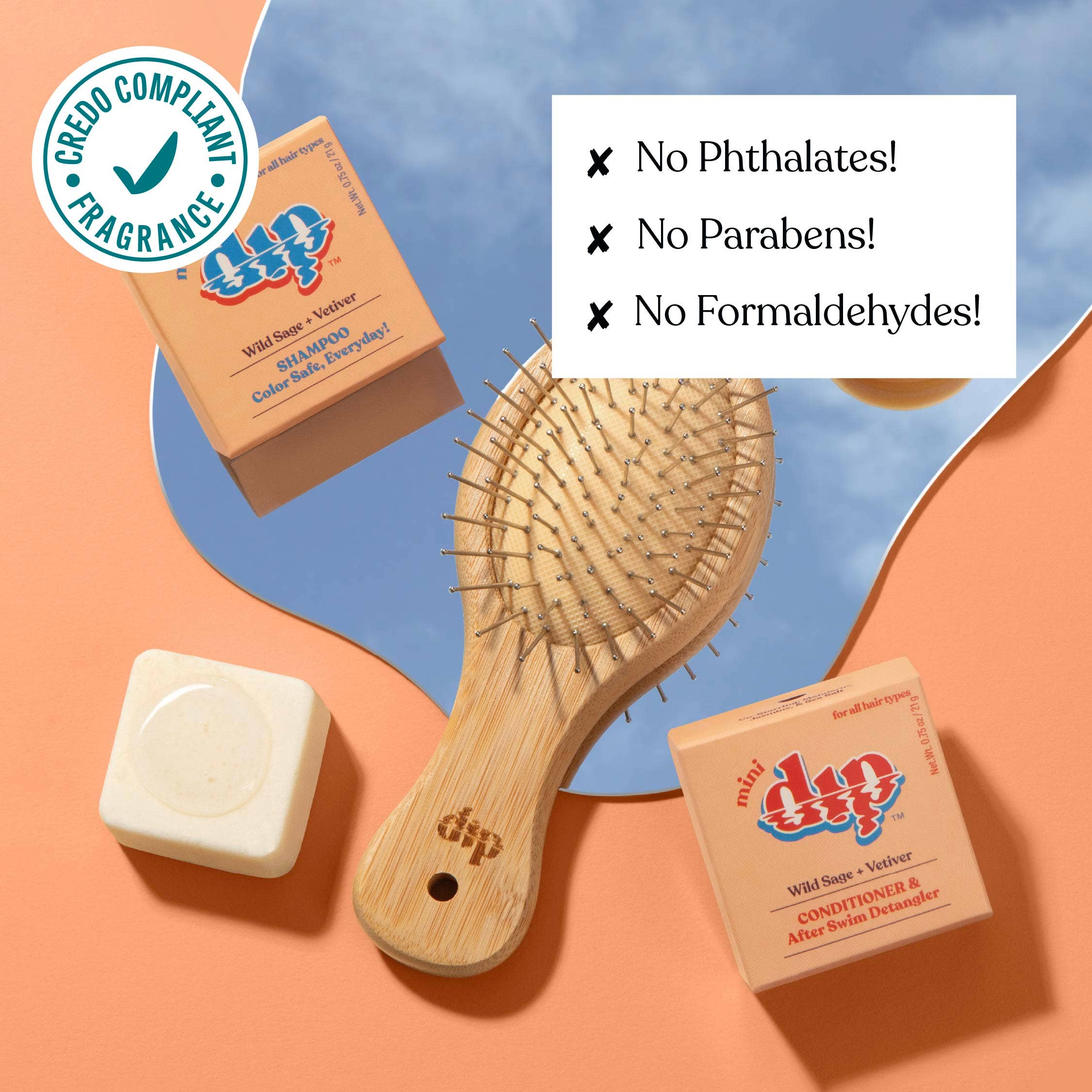 Dip - Mini Dip Shampoo Bar: Color Safe, Everyday - Wild Sage & Vetiver