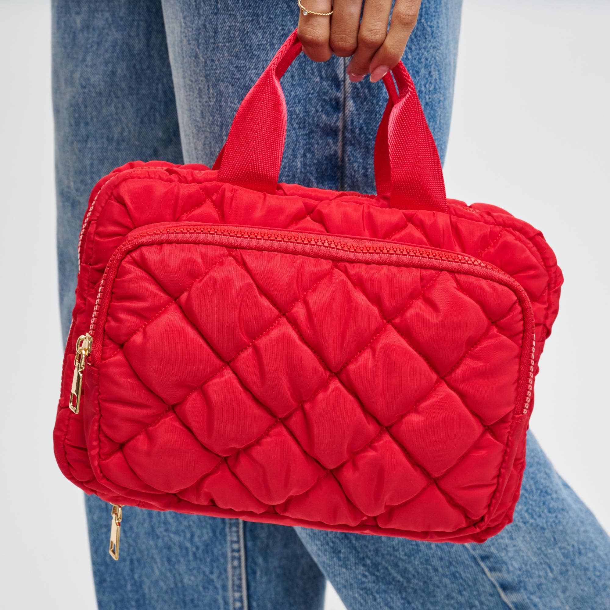 Urban Expressions - Cloud Cruiser Travel Organizer