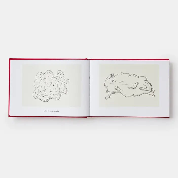 Phaidon - History Of The World (In Dingbats): Drawings & Words