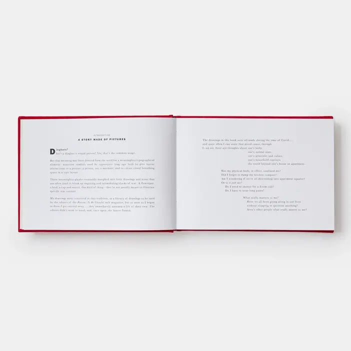Phaidon - History Of The World (In Dingbats): Drawings & Words