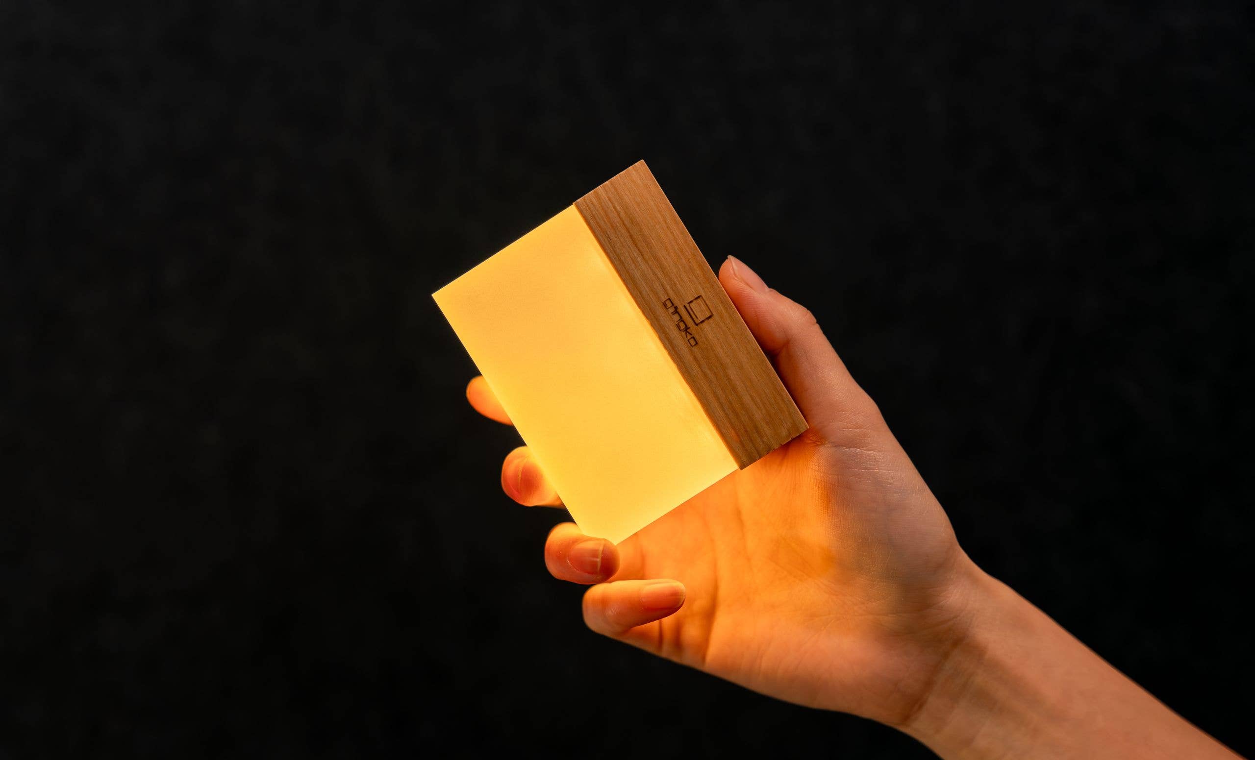 Gingko Design - CuraCheese Light