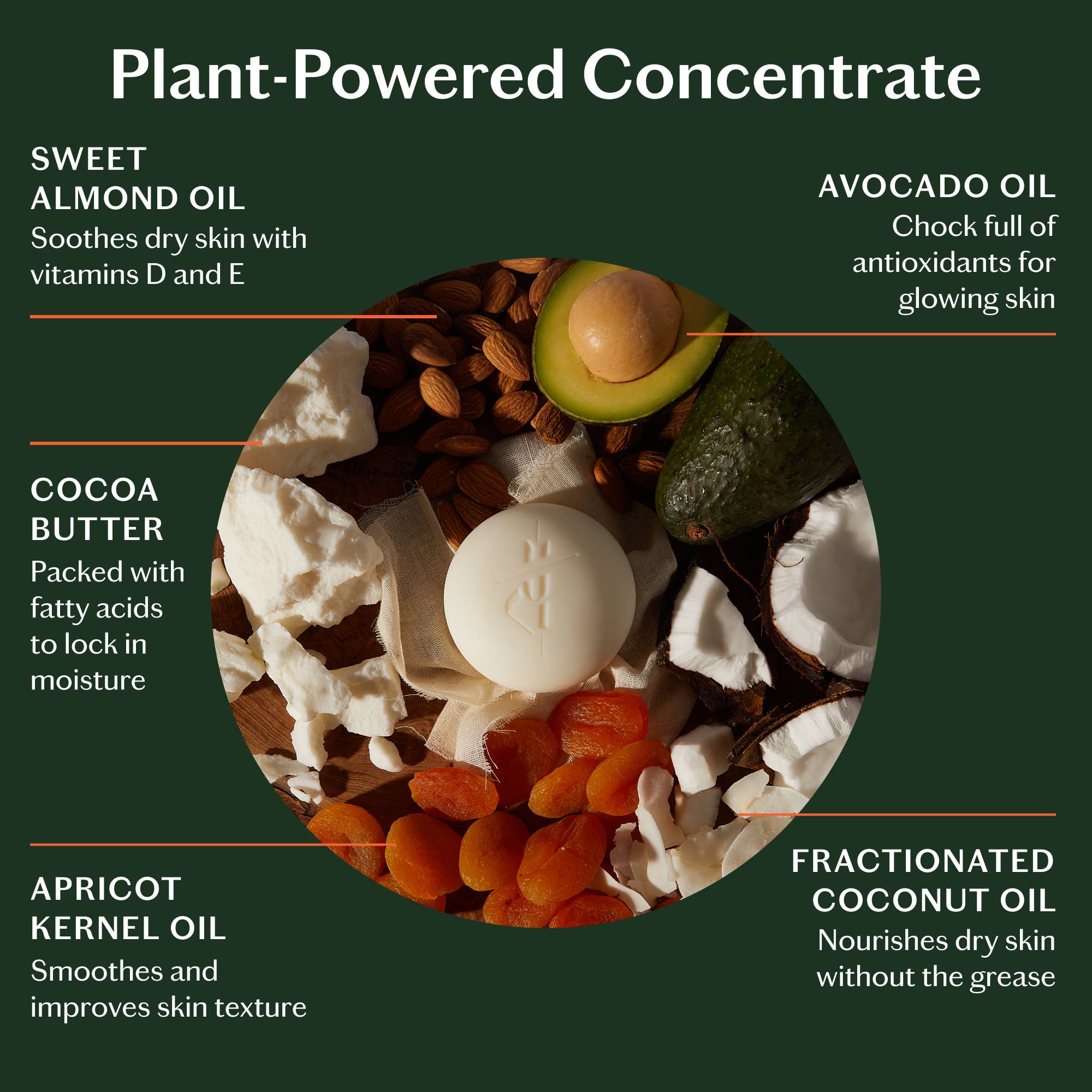 Kate McLeod - Mama Stone | Deep Moisturizing Lotion Bar