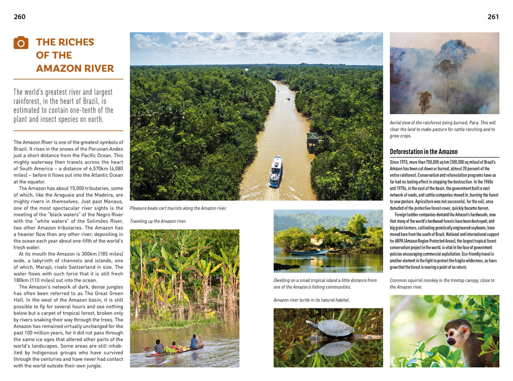 Insight Guides South America: Travel Guide with eBook
