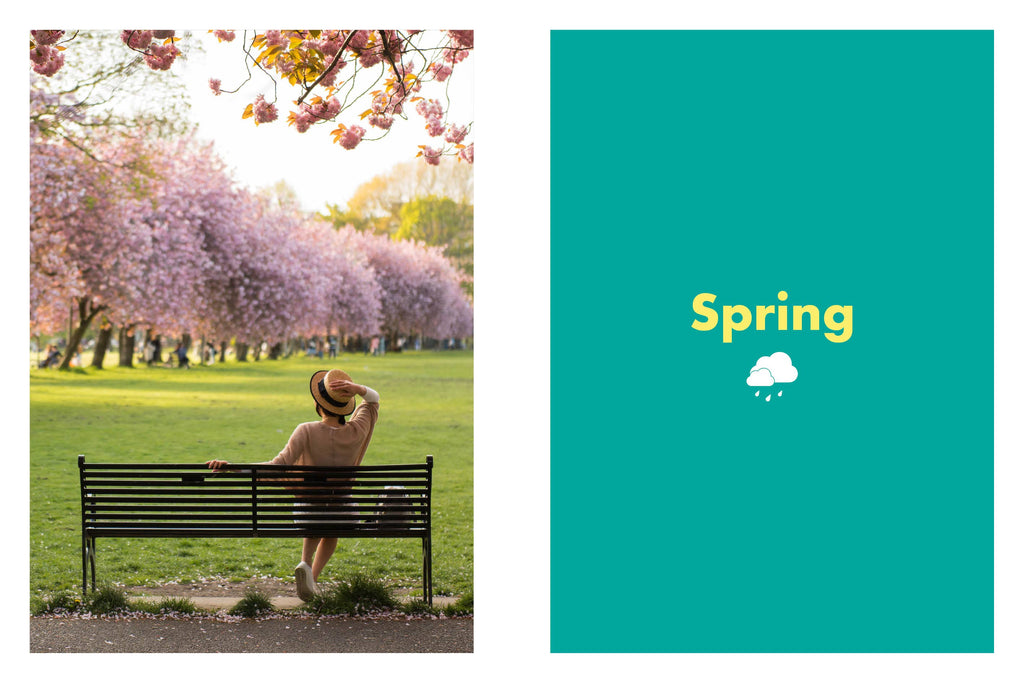 Rough Guides City Stories: Edinburgh Seasons